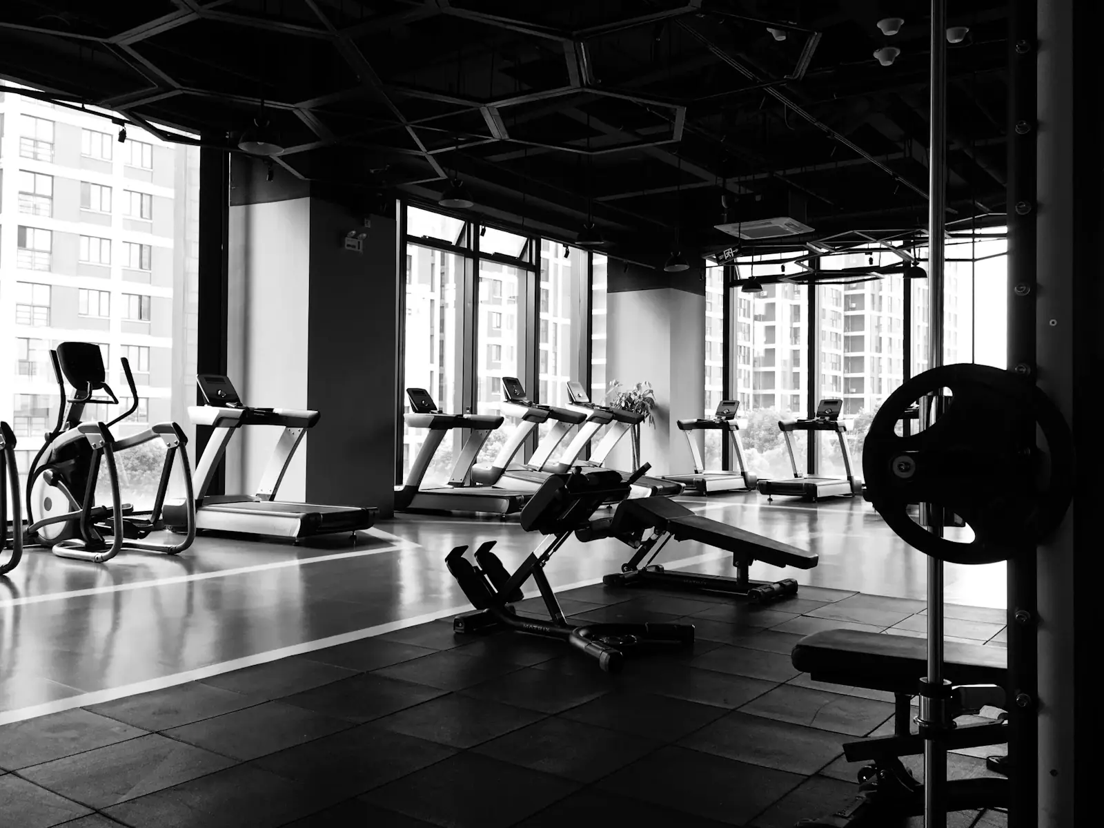 Sala de gimnasio de referencia con banco de pesas, barras y zona de cardio